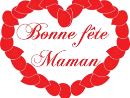 Conseil en image-Relooking06, nice, Paca, Monaco-Fêtes des mamans 2013 Icone-ego