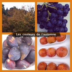 COLORIMETRIE_Les couleurs de l'automne.jpeg